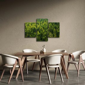 Tablou - Pădure deasă (90x60 cm)
