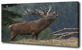 Tablouri tipărite pe pânză Deer pe deal