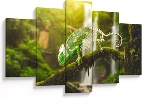 Tablou - cameleon (150x105 cm)