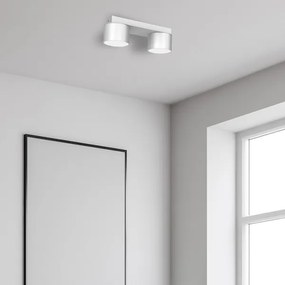 Plafonieră DIXIE 2xGX53/11W/230V albă