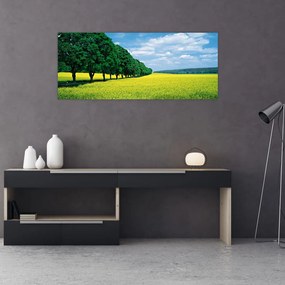 Tablou - Câmp cu alei (120x50 cm)
