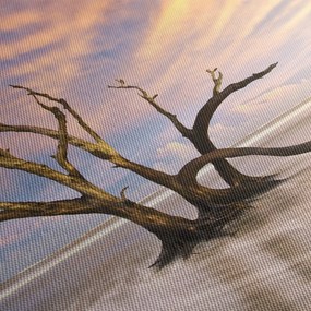 Tablou - Copacul în ocean (70x50 cm)