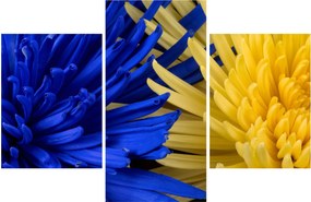 Tablou - detaliu florilor (90x60 cm)