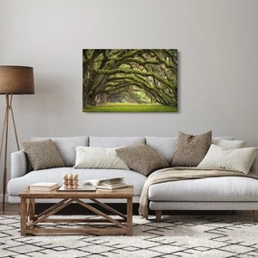 Tablou - Oaks Avenue, Charleston, Carolina de Sud, SUA (90x60 cm)