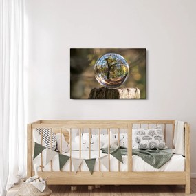 Tablou - Reflecție intr-o sferă transparentă (90x60 cm)