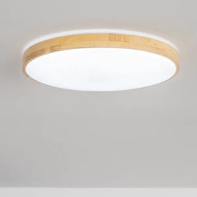 Brilagi - Plafonier LED reglabil PINE LED/24W/230V + telecomandă