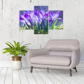 Tablou cuflori în ploaie (90x60 cm)