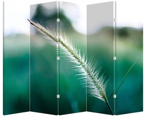 Paravan - Fir de iarbă (210x170 cm)