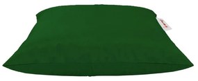 Pernă ședere Clear (Verde). 1101569