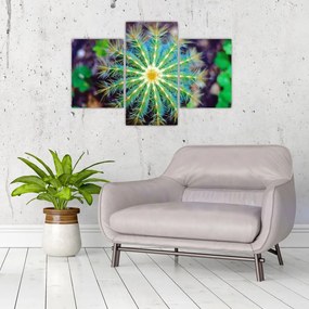 Tablou cu cactus (90x60 cm)