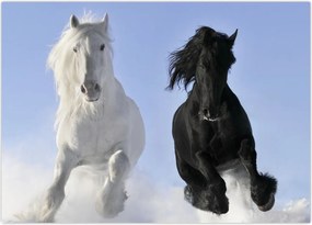 Tablou - Caii în timpul iernii (70x50 cm)