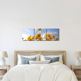 Tablou - Câmp cu flori galben deschis (cu ceas) (90x30 cm)