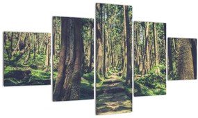 Tablou cu drum între copaci (125x70 cm), în 40 de alte dimensiuni noi