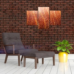 Tablou - Detaliu de textură (90x60 cm)