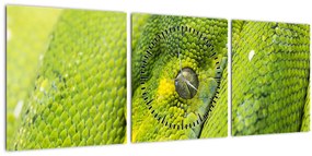 Tablou cu șarpe (cu ceas) (90x30 cm)