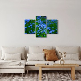Tablou cu flori albastre (90x60 cm)
