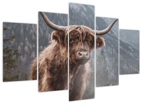 Tablou - Vaca Highlander (150x105 cm)