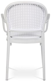 Set de scaune de sufragerie CT-746 WT, 4 buc
