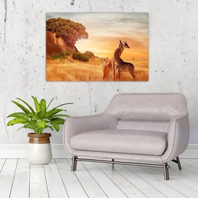 Tablou Girafe în Africa (90x60 cm)