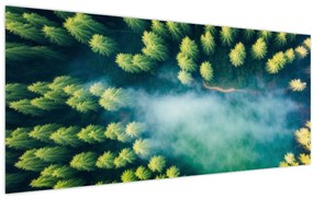 Tablou - O pădure învăluită în ceață (120x50 cm)