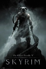 Poster Skyrim - Dragonborn, (61 x 91.5 cm)