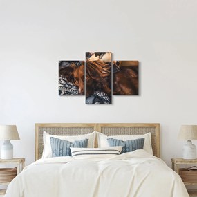 Tablou cu câini dormind (90x60 cm)