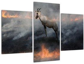 Tablou cu capră de munte în foc (90x60 cm)