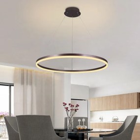 Lustră LED dimabilă pe cablu LED/55W/230V 3000-6500K + telecomandă