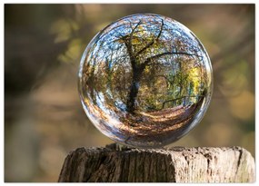 Tablou pe sticlă - Reflecție intr-o sferă transparentă (70x50 cm)