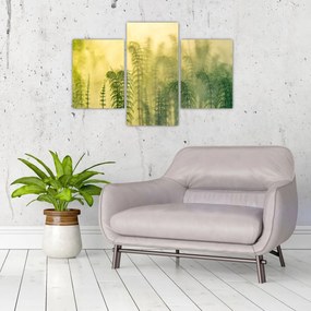 Tablou - Detaliu de primăvară natura cețoasă (90x60 cm)