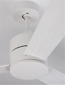 Ventilator de tavan cu telecomanda design modern AXEL alb/stejar