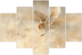 Tablou - Bufniță (150x105 cm)