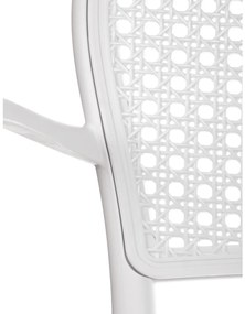 Set de scaune de sufragerie CT-746 WT, 4 buc