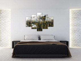 Tablou - Pădure în nori (150x105 cm)