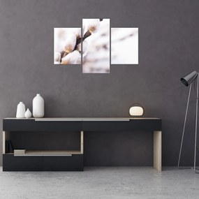 Tablou - Ramură (90x60 cm)