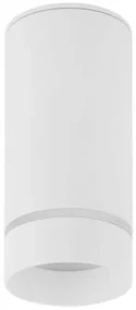 Spot aplicat tavan / plafon design modern ESCA alb