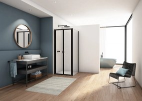 Cabina de dus 100x80 cm, cu usa pliabila culisanta, negru mat, Ronal Divera 1000 mm, 800 mm, Negru mat