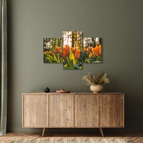 Tablou - florile lalelelor (90x60 cm)