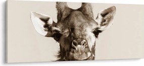 Tablou - Portret de girafă, de epocă (120x50 cm)
