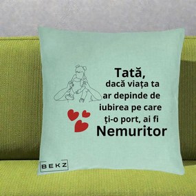 Cadou pentru Tata - Perna Personalizata Tata Nemuritor Mesaj, 40x40 cm, Verde Menta, Husa Detasabila, Perna Inclusa, BEKZ®