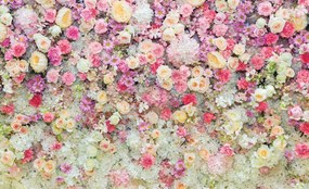 Fototapet - Floral (254x184 cm)