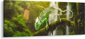 Tablou cu șopârlă (120x50 cm)