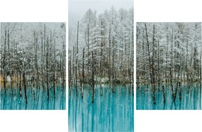 Tablou - Pescărie turcoaz, Biei, Japonia (90x60 cm)