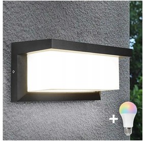 Aplică de perete exterior LED RGBW NEELY, compatibilă cu dimmer, 1xE27/9W/230V, IP54, antracit