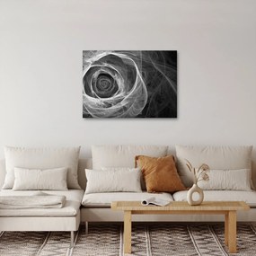 Tablou - Abstract trandafir negru și alb (70x50 cm)
