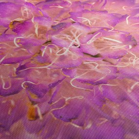 Tablou detailat cu floare (70x50 cm)