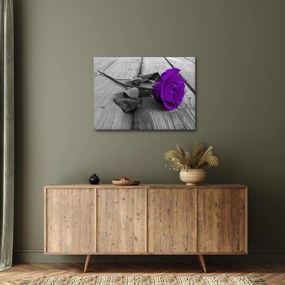 Tablou - Trandafir violet cu tulpina verde (70x50 cm)