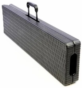 Set de 2 bănci de grădină - design din ratan negru 180x25 cm