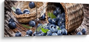 Tablou - Afine suculente (cu ceas) (90x30 cm)