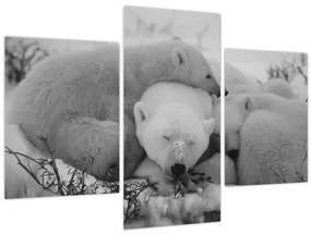 Tablou - Urși polari, alb-negru (90x60 cm)